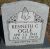 Kenneth C. Ogle