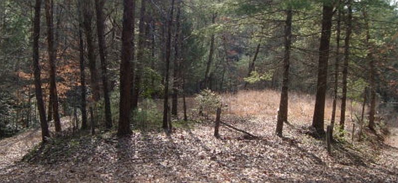 Breeden Cemetery