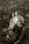 AlanWebbAlbum0061.jpg