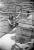 Lois Rolen