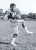Larry James McDermott