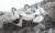 Grace Irene Rehrer
