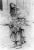 Clarinda "Rindy" Miller