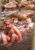 Skylir Anthony Cody